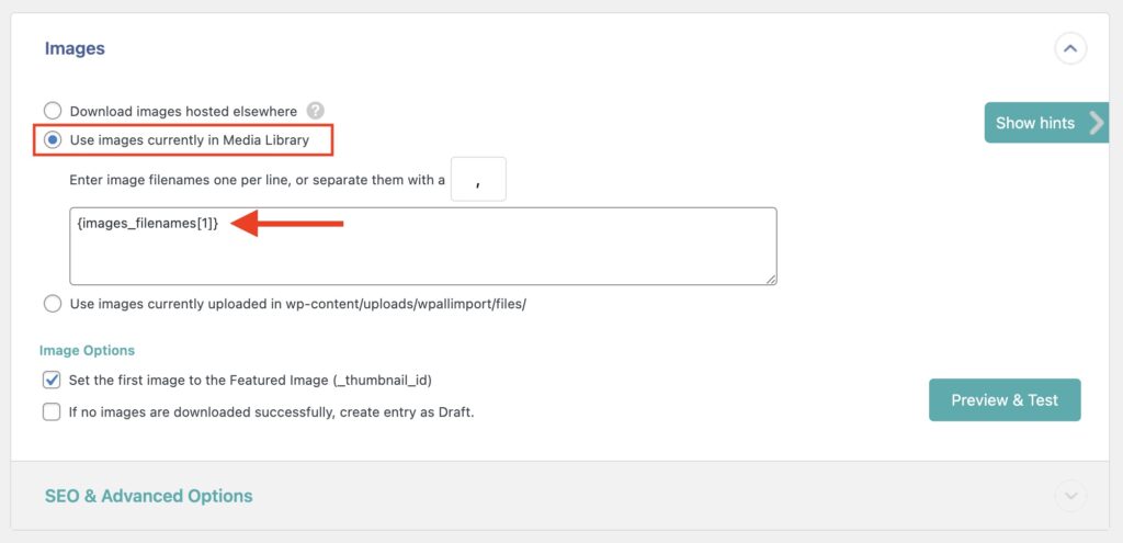 WP All Import External Images